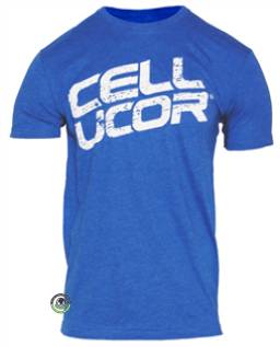 CELLUCOR VINTAGE STACKED T-SHIRT